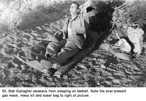 Waking up in the Mojave Desert